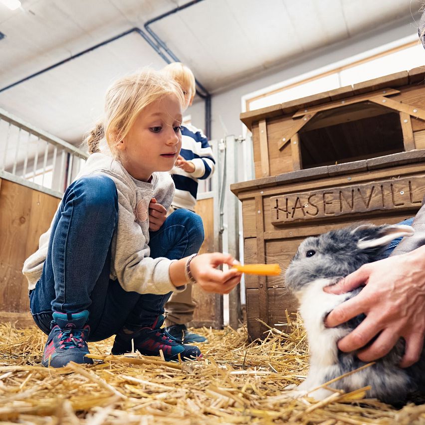 Familienurlaub in der Region Seefeld - Familie bei Sigis Sauhaufen in Seefeld