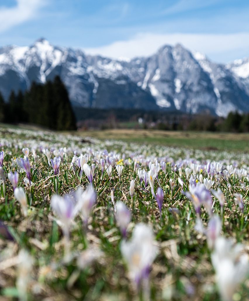 Frühling Stimmung