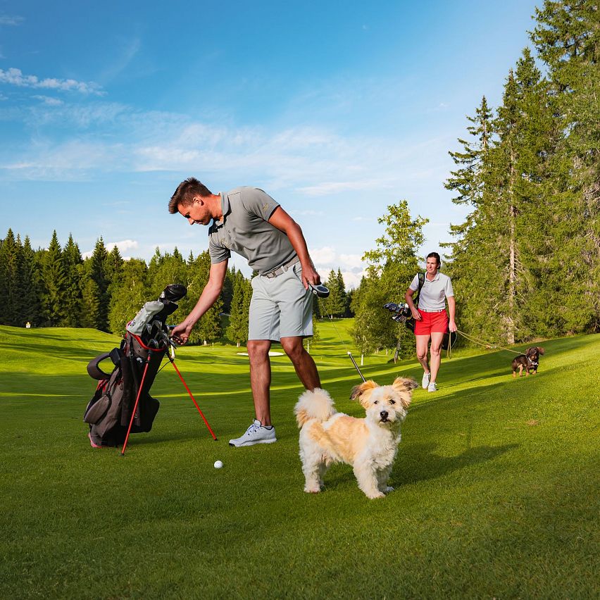 Mann spielt Golf mit einem Hund auf einem grünen Golfplatz.