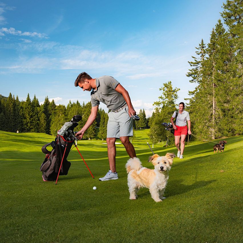Mann spielt Golf mit einem Hund auf einem grünen Golfplatz.