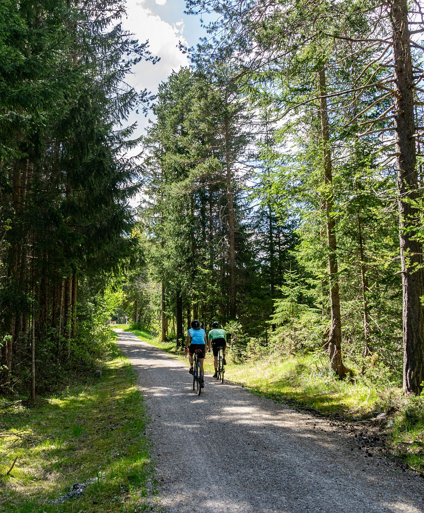 Discover the most beautiful bike tours around Wildmoos