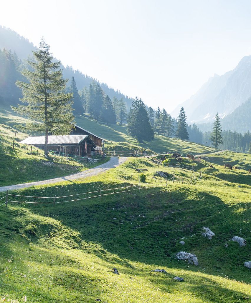 Echte Sommerfrische im größten Naturpark Österreichs