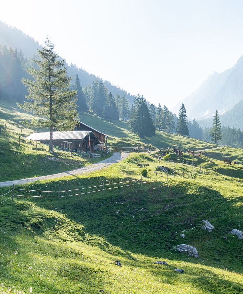 A real summer getaway in Austria's largest nature park