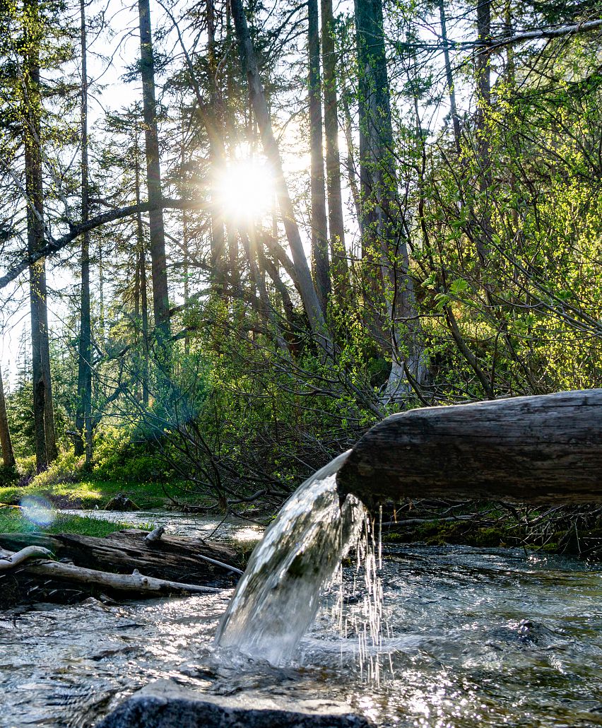 Aus sicherer Quelle: Die Isar ist eine Tirolerin