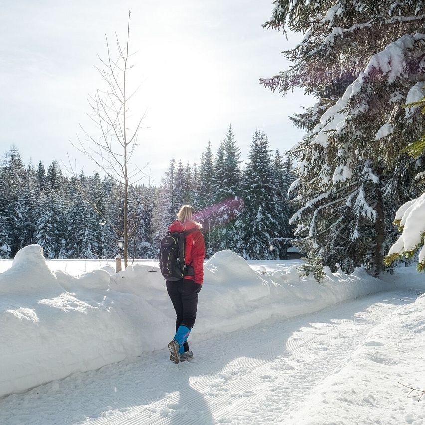Leutasch - Winterwanderweg 15 Katzenloch-3