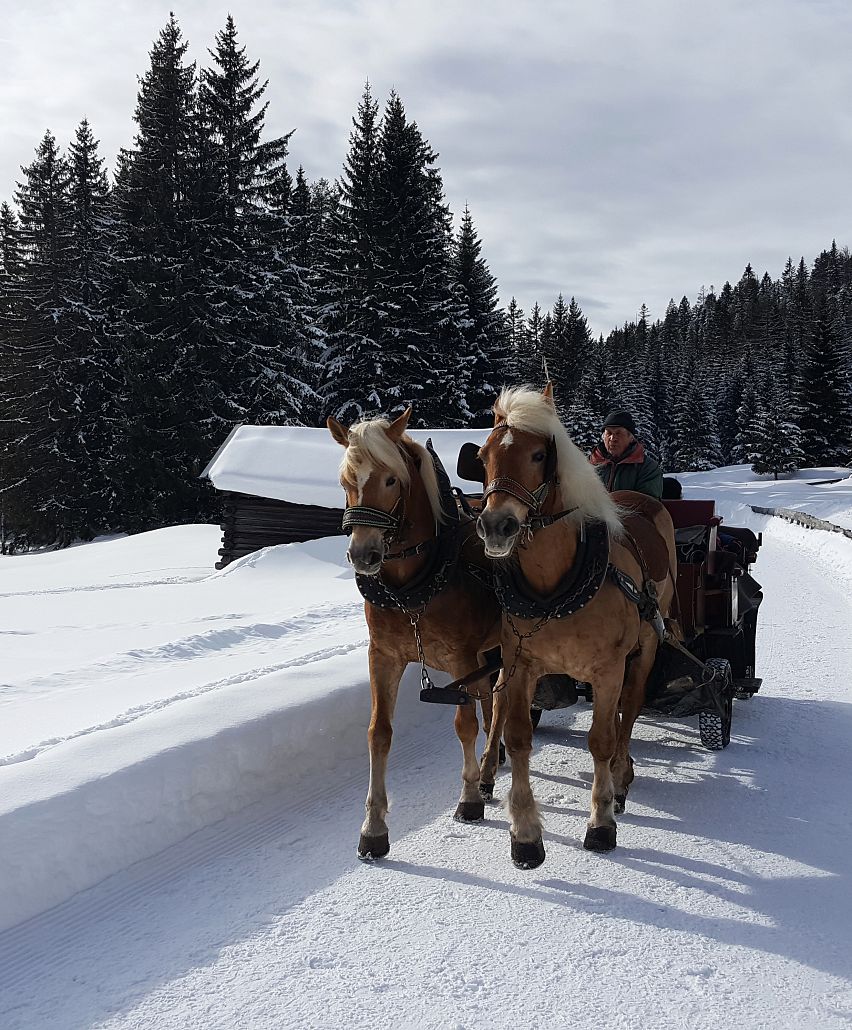 Romantic carriage ride in the Region Seefeld