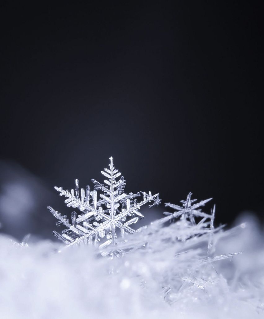 Is each snowflake really unique? The amazing science of snow - Cottage Life