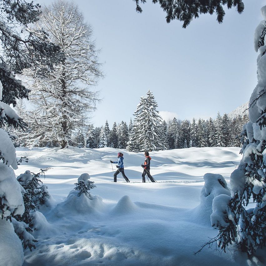 Winterwanderung in der Region Seefeld durch verschneite Landschaft und Bäume unter blauem Himmel.