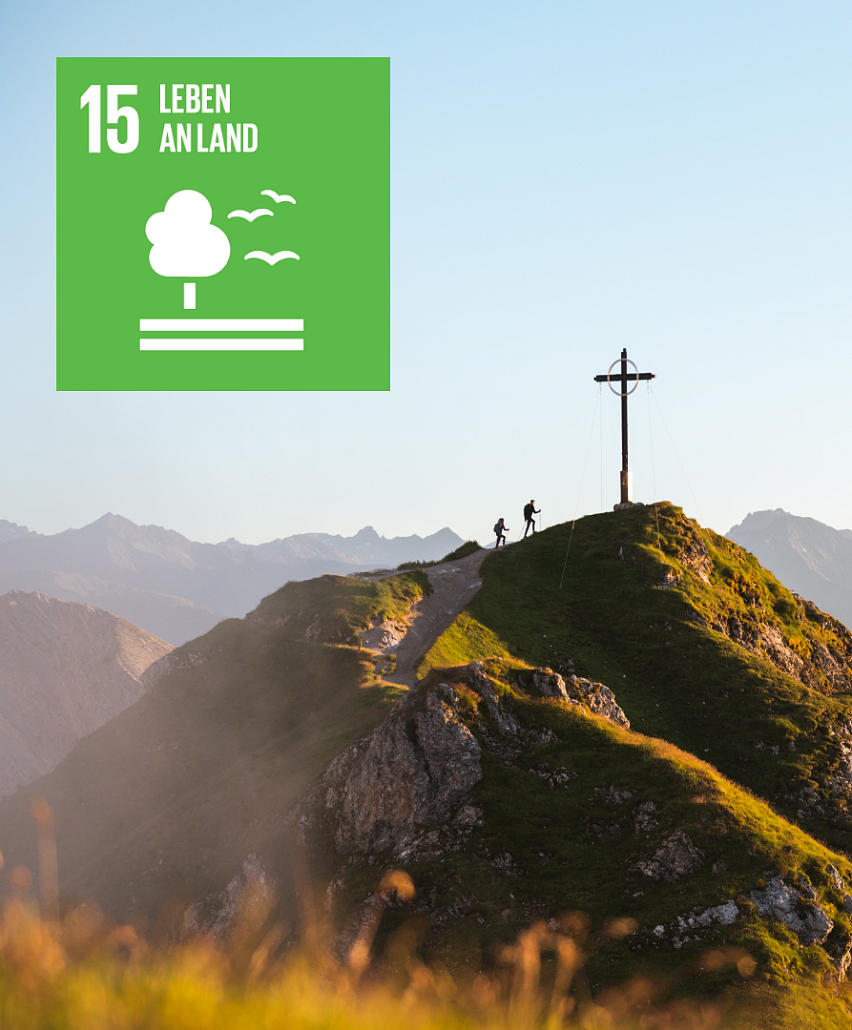 SDG 15