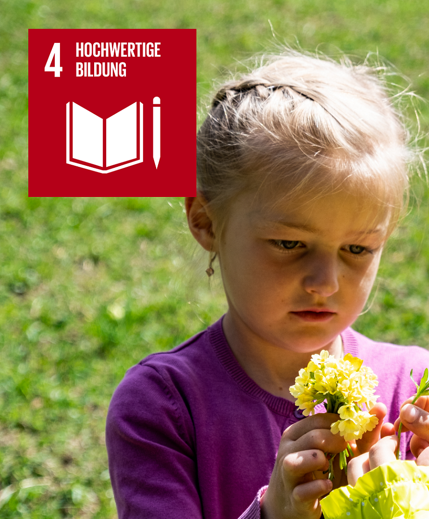 SDG 4