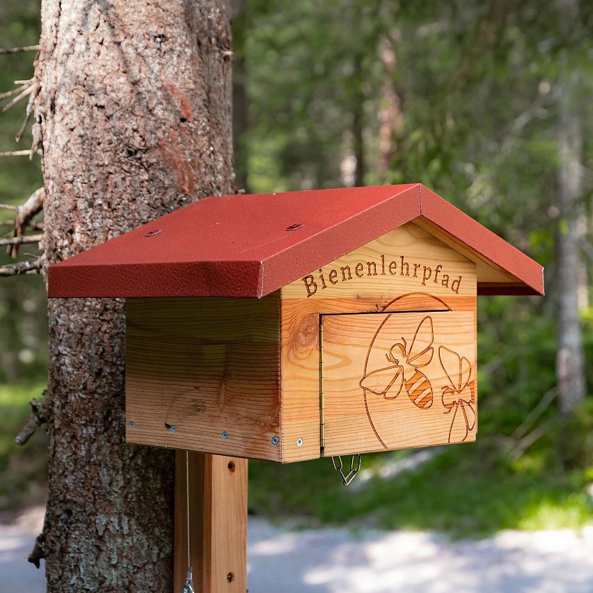 Stempelstation Bienenlehrpfad_Wald im Hintergrund