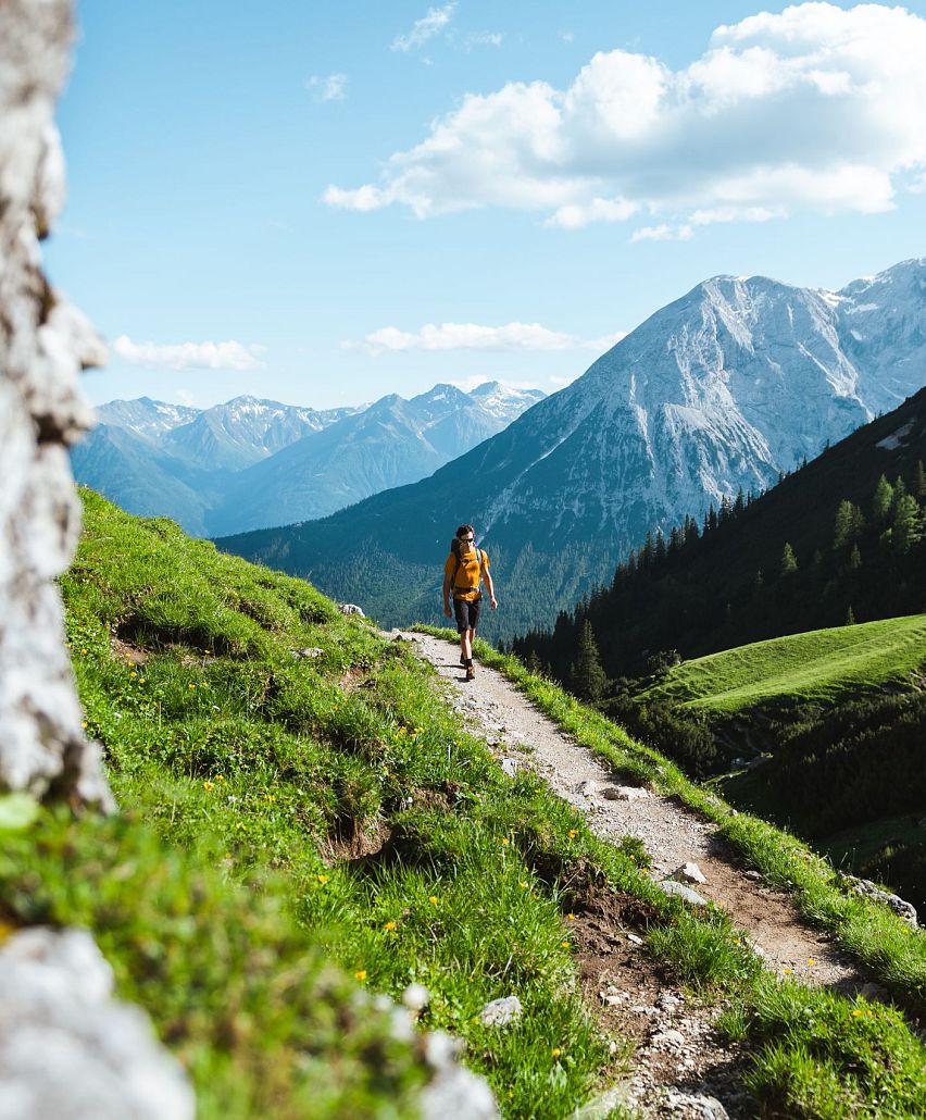 Discover true Alpine diversity