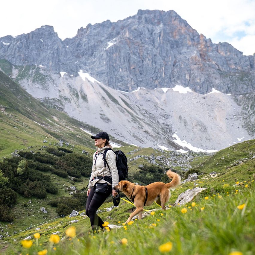Wanderin mit Hund im Wettersteingebirge