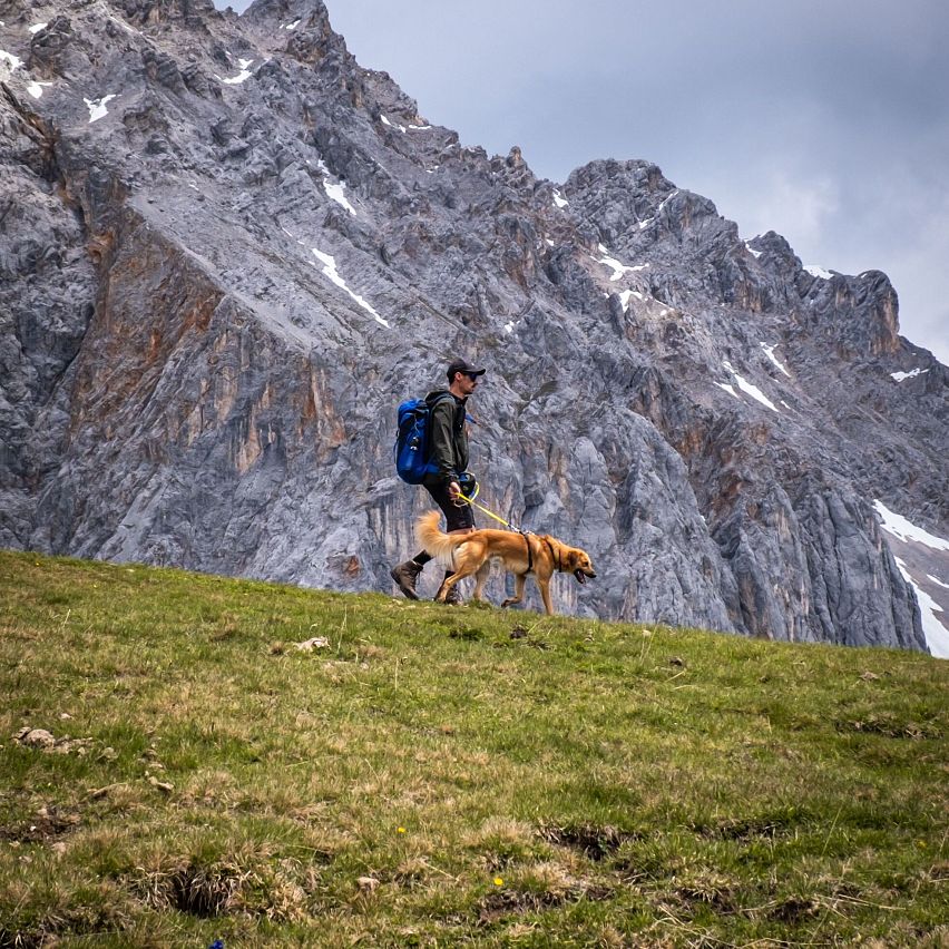 Etikette für Hundebesitzer