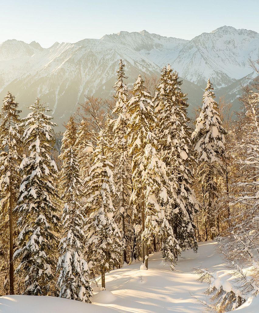 Winterlandschaft beim Weitwandern