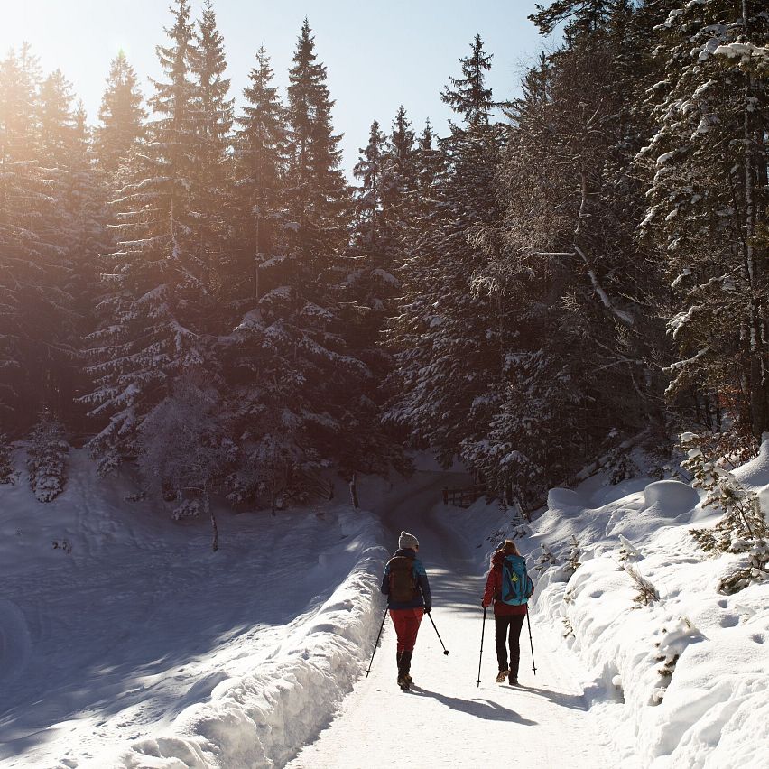 Winterwanderer auf schneebedecktem Weg, umgeben von Bäumen.