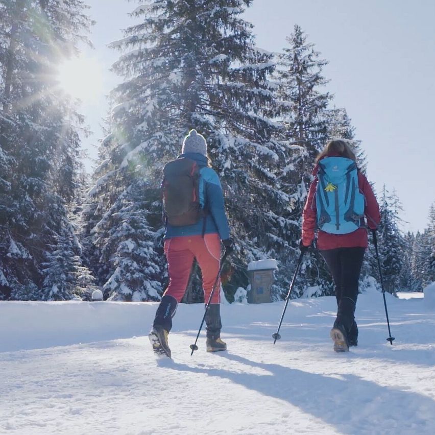 Zwei Personen wandern im Schnee durch einen sonnigen Wald, Region Seefeld.