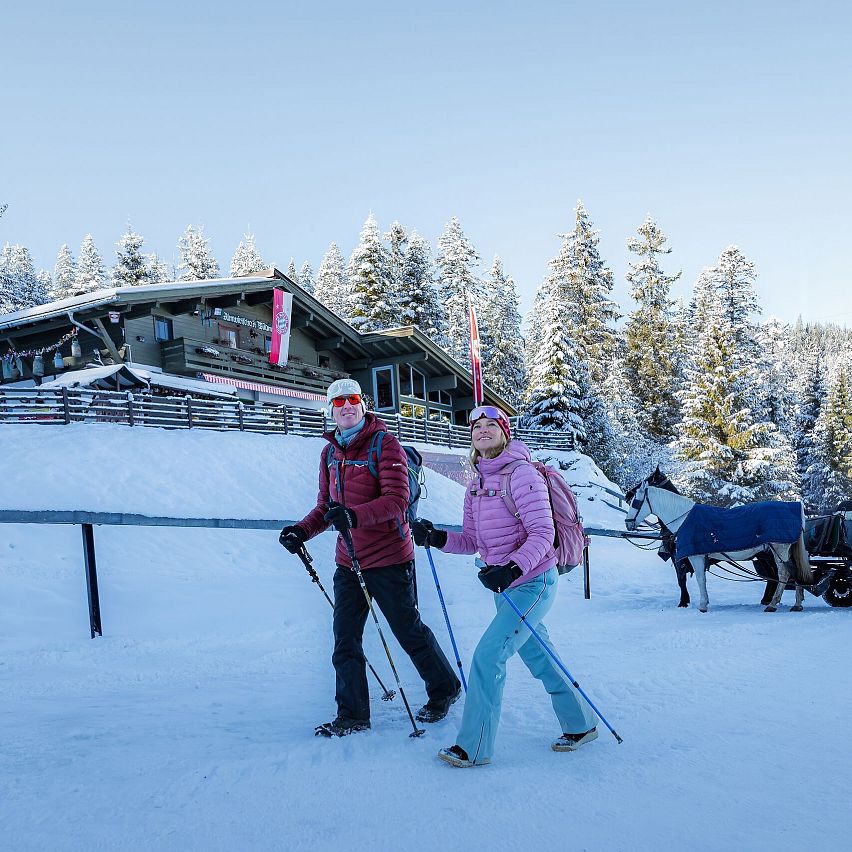 Winterwanderung nahe einer Berghütte, mit Pferdeschlitten in der Region Seefeld.