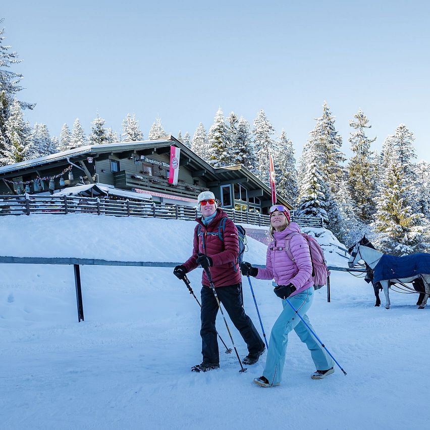 Winterwanderung nahe einer Berghütte, mit Pferdeschlitten in der Region Seefeld.