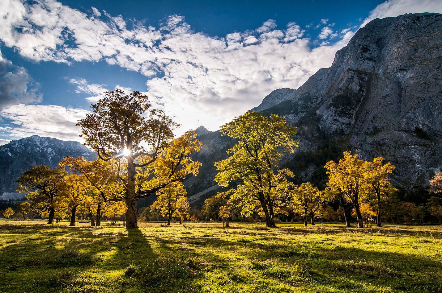 Ahornboden im Herbst