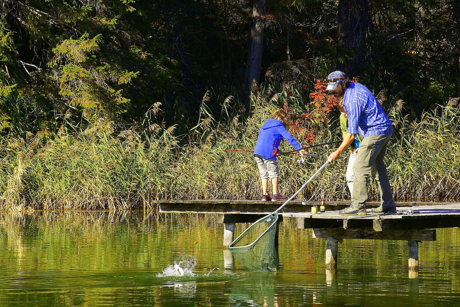 A man fishing with a net from a dock, while a child watches nearby.