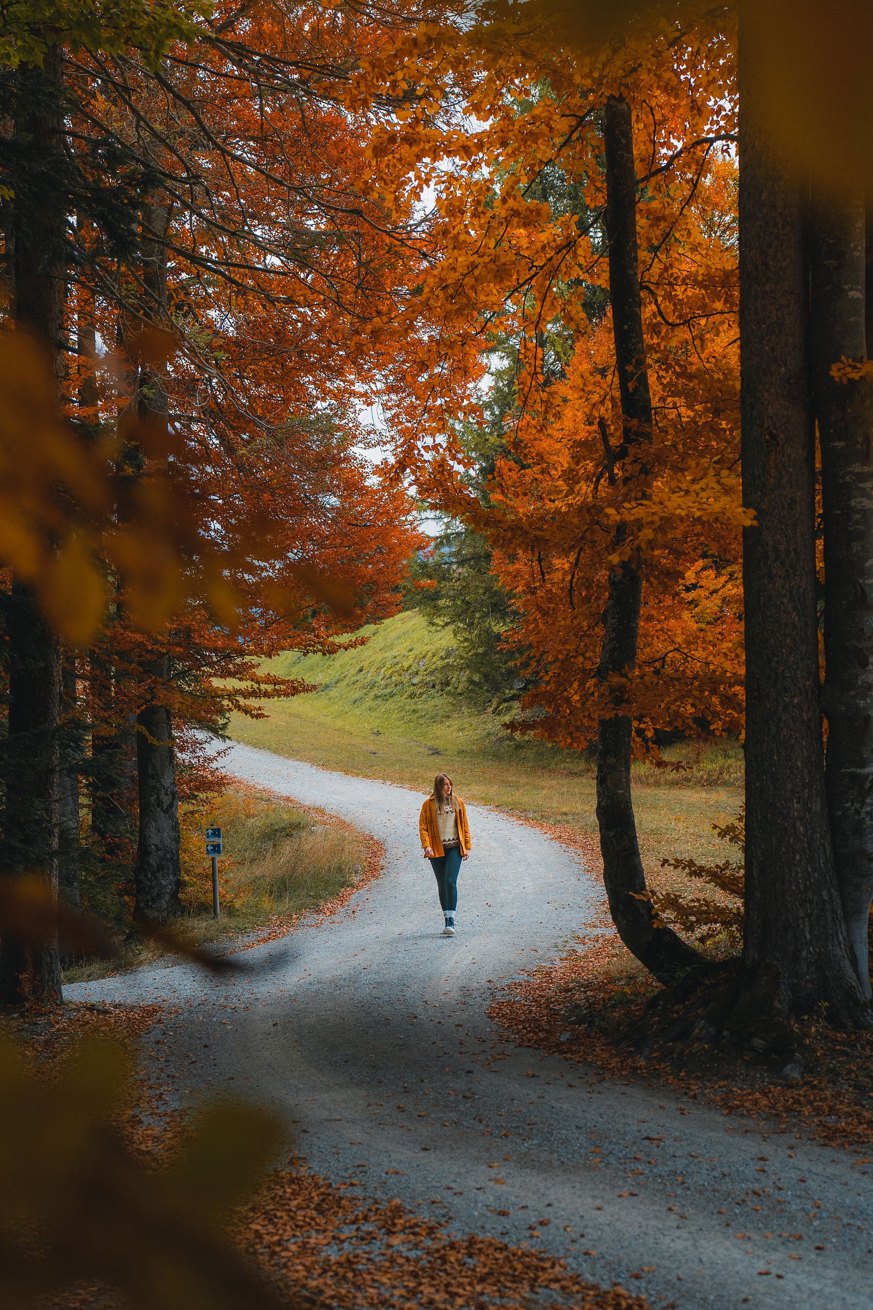 Herbst in der Region Seefeld - Wanderin am Gschwandtkopf im goldenen Buchenwald - Seefeld (Edit 1)