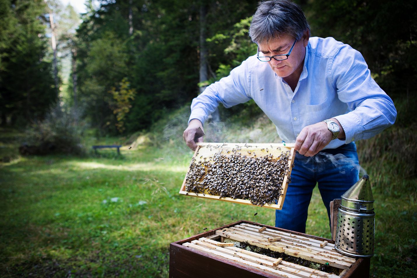 Imker Kurt Kriegl aus Reith bei den Bienen - Regions-Originale