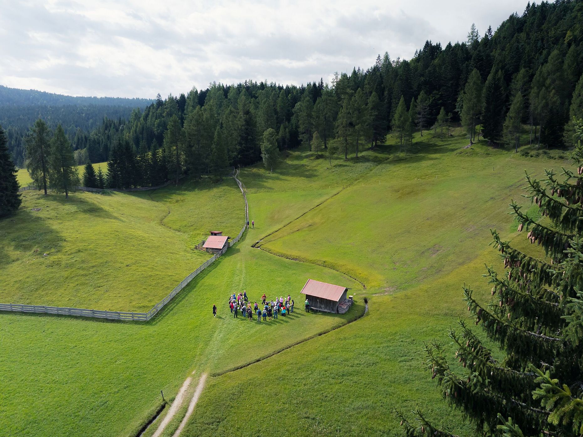 Klingendes Leutaschtal 2025_Drohnenaufnahme mit Wald (1)