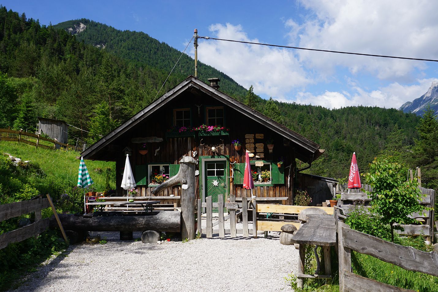 scharnitzer-alm-im-sommer-scharnitz