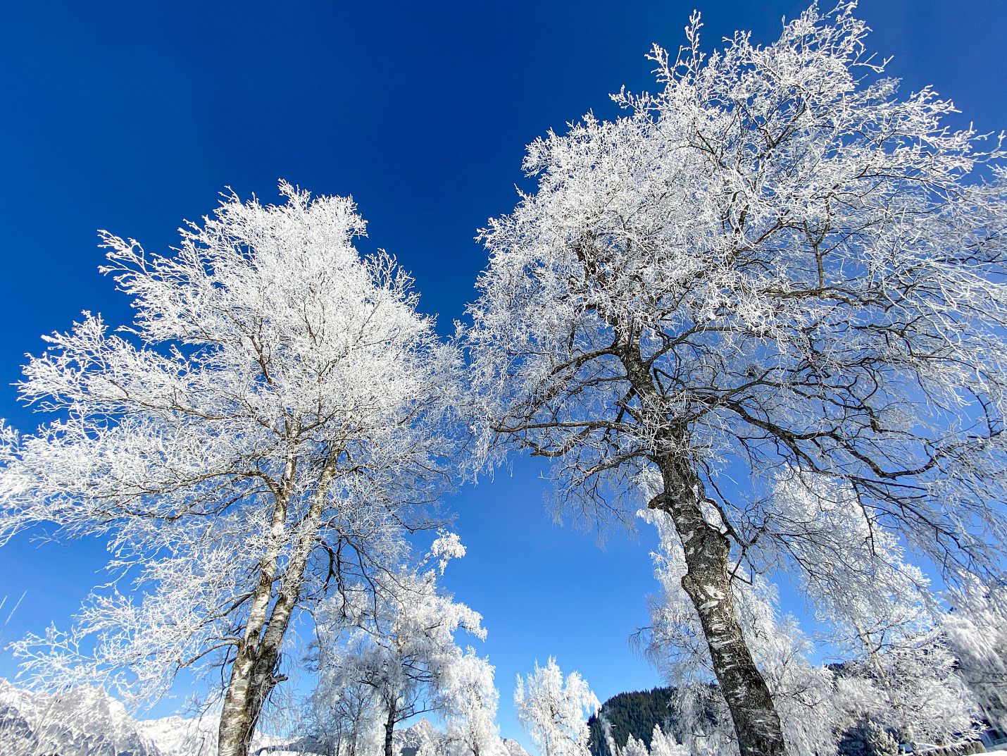 schnee-am-golfplatz-seefeld-11-2