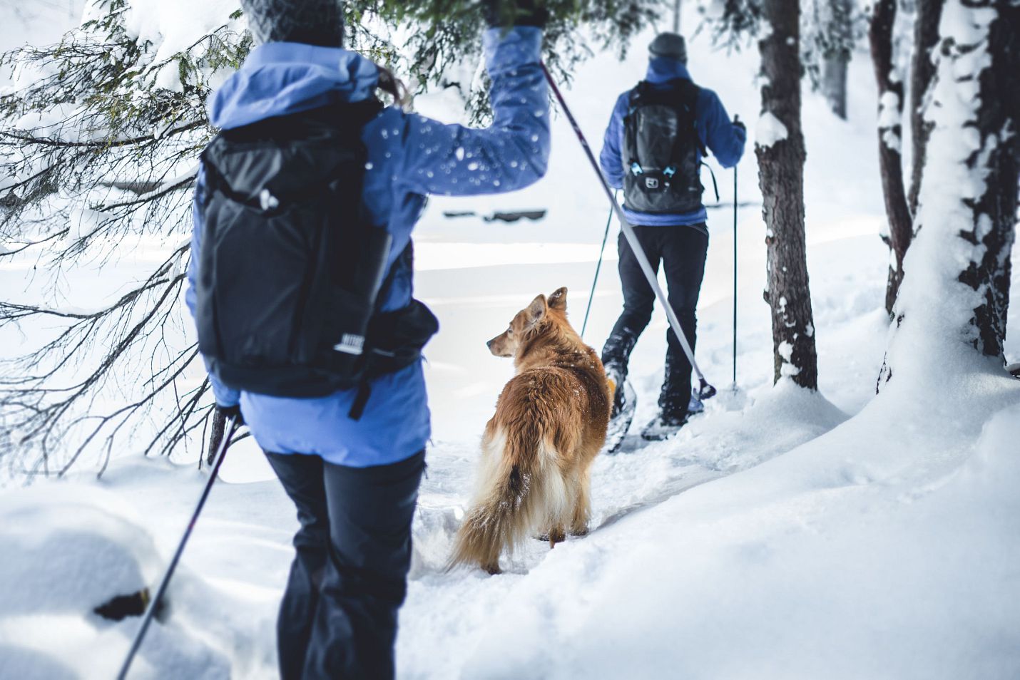 Schneeschuhwanderung (11)