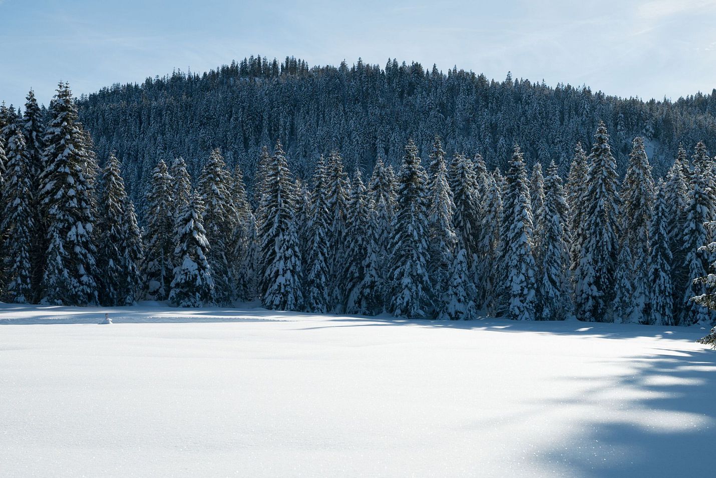 Seefeld_Tirol Werbung_Aitzetmüller Johannes_Seefeld