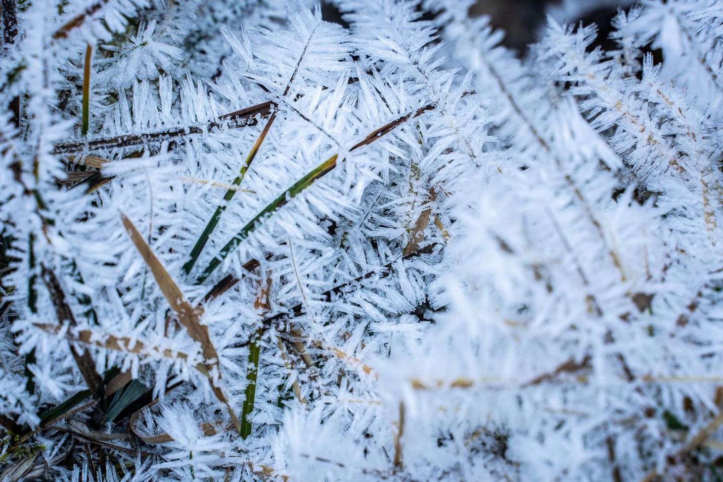 sound-of-seefeld-eis-und-schnee-bei-der-leutascher-ache-im-gaistal-im-winter-echt-frisch-2