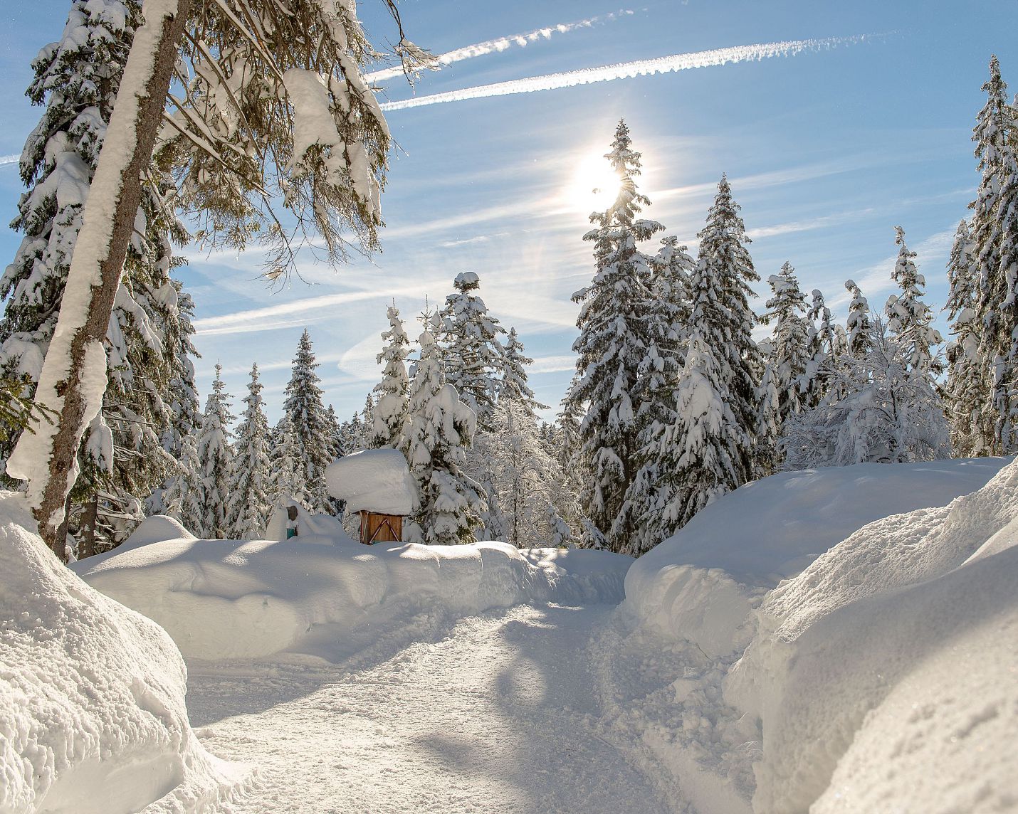 weitwandern-etappe-3-winterlandschaft-10-2