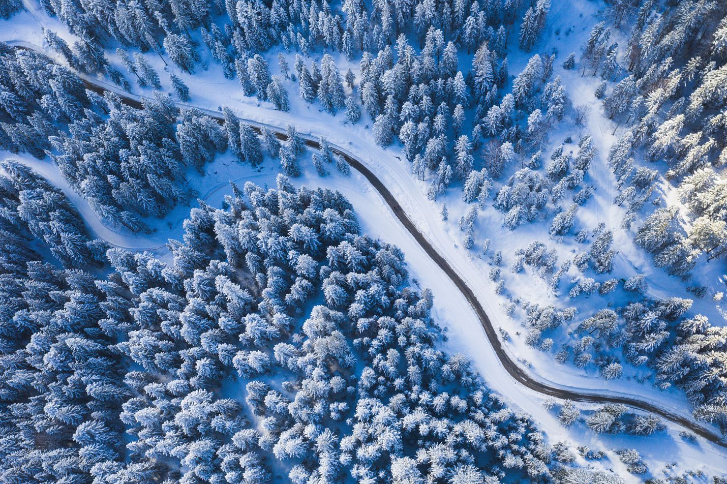 wildmoos-in-der-region-seefeld-im-winter-strasse-und-neuschnee-2