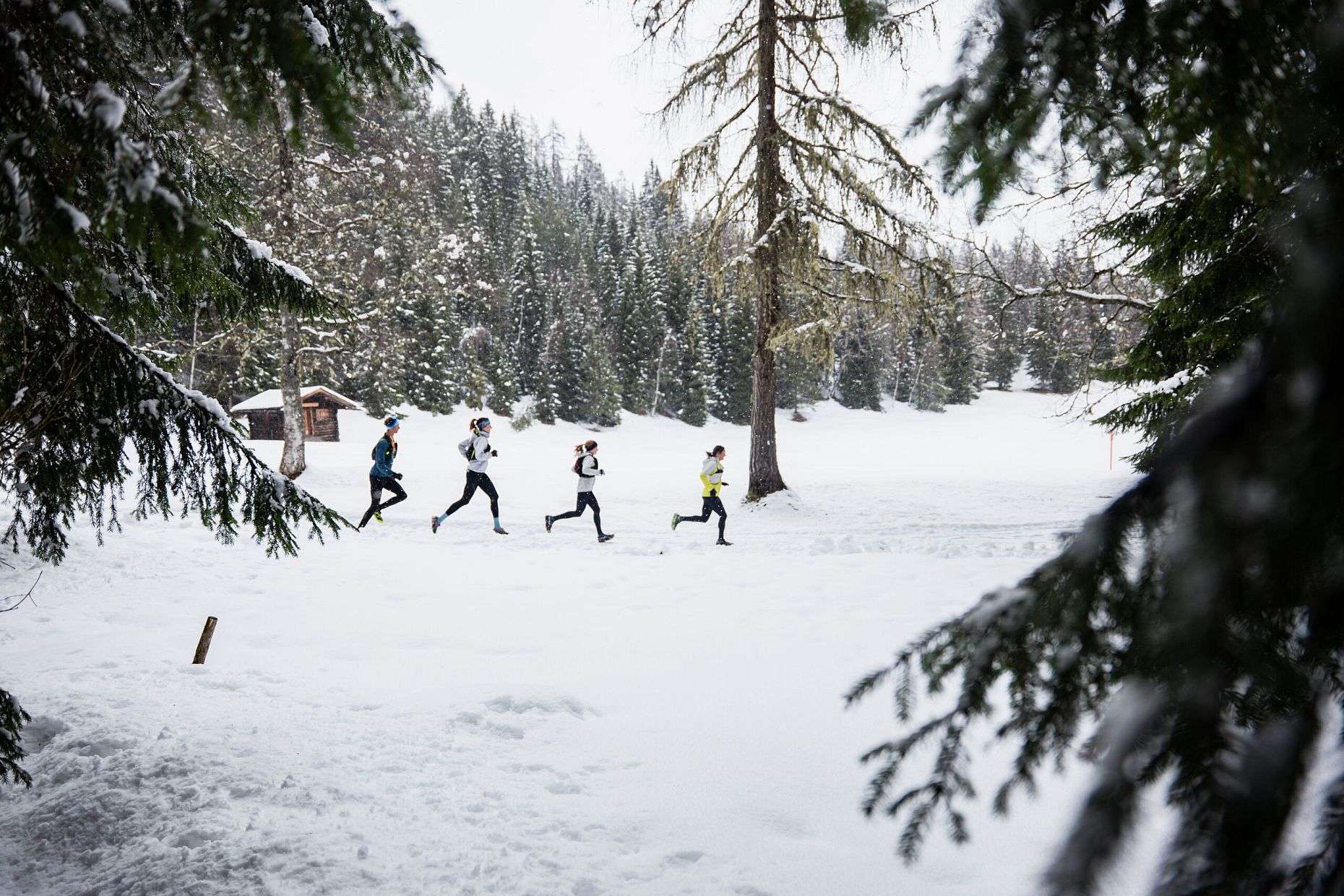 Wintertrailrunning in der Region Seefeld - Läufer in einer Reihe mit Holzhütte im Hintergrund