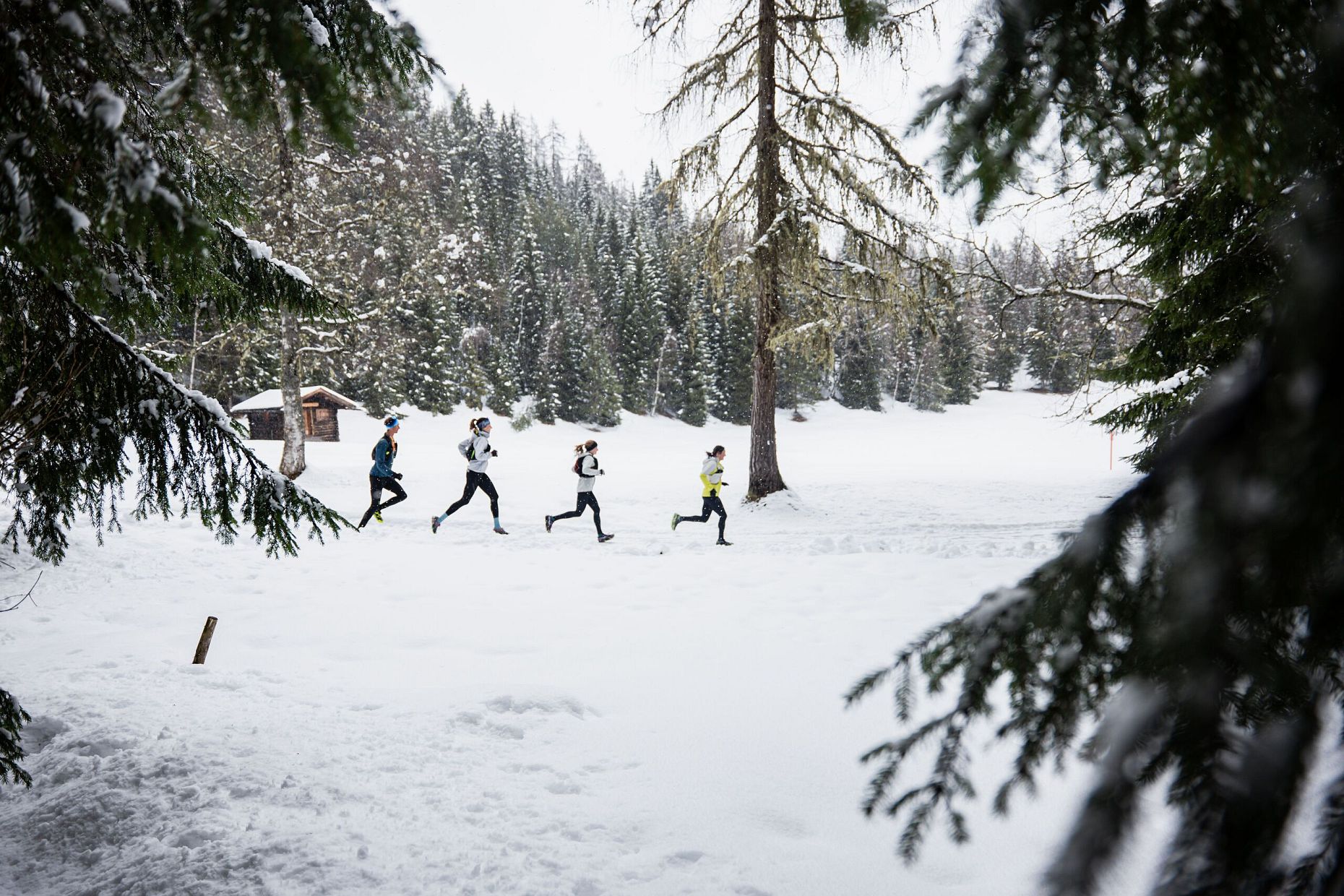 Runners jogging in a snowy landscape with evergreen trees.