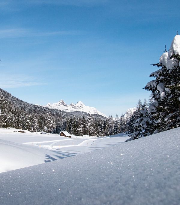 Blick auf B1 Loipe - Moesern