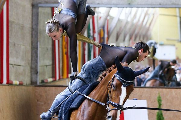 Akrobatik hoch zu Ross: Vom Voltigieren im Reitclub Seefeld
