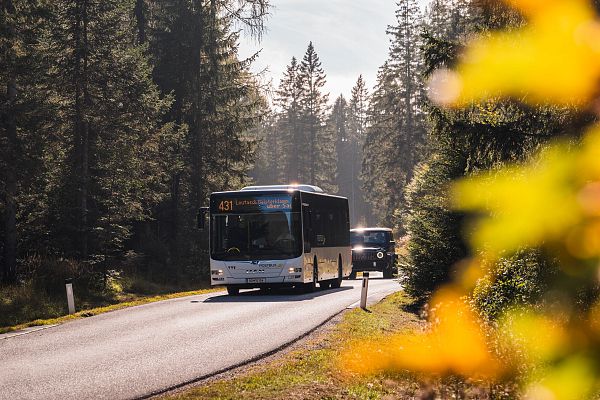 Anreise und Mobilität