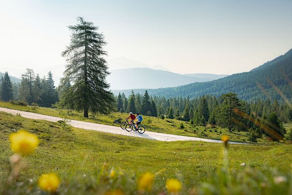 Two cyclists biking on a winding path in a green landscape with trees and wildflowers.