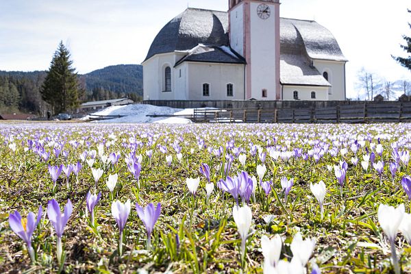 Dinge, die du im Frühling unbedingt tun solltest