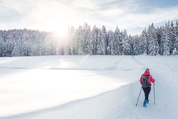 Winter magic at its best: the 9 most beautiful winter hiking trails around Seefeld