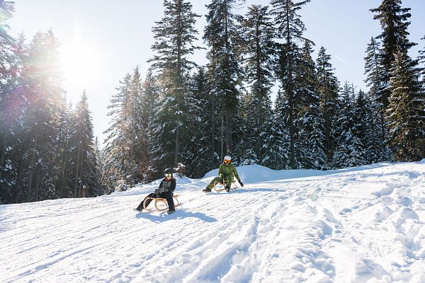 Zwei Rodler in der Schneelandschaft, umgeben von Tannenbäumen.