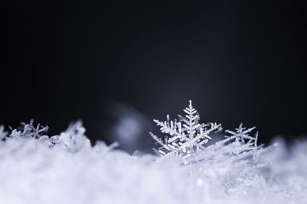 Wunderwelt Winter: Auf den Spuren seltener Schönheit