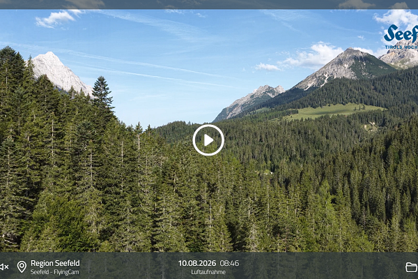 Screenshot 2026-08-10 120654