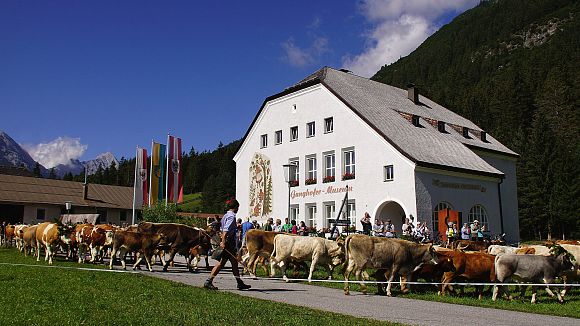 slider-almabtrieb-beim-ganghofermuseum-leutasch