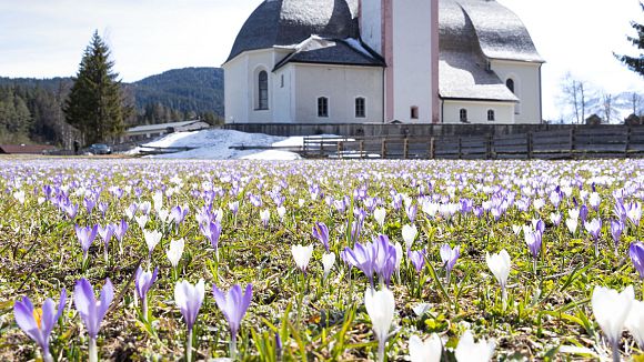 slider-krokusse-in-leutasch-kirchplatzl-mit-der-kirche-st