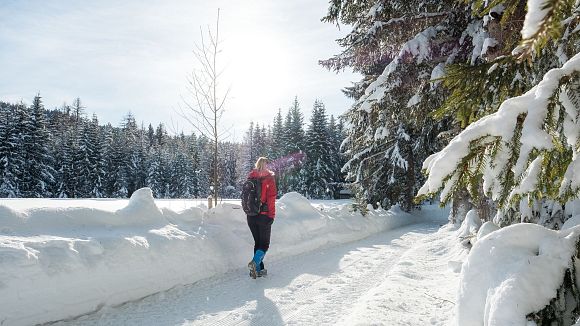 Leutasch - Winterwanderweg 15 Katzenloch-3