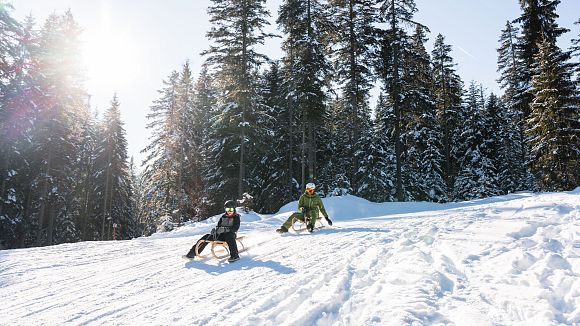 Zwei Rodler in der Schneelandschaft, umgeben von Tannenbäumen.